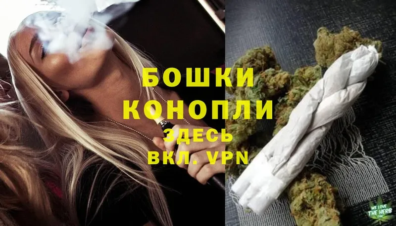 закладка  Андреаполь  Марихуана Ganja 